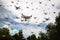 Dozens of Drones Swarm in the Ominous Sky.