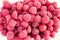 Dozens of fresh raspberry fruits