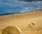 Dozens of hay bales on fields in Tuscan with cloudy sky