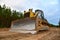 Dozer during clearing forest for construction new road . Yellow Bulldozer at forestry work Earth-moving equipment at road work,