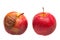 Dozy red apple as comparison to fresh red apple