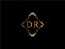 DR Initial diamond shape Gold color later Logo DesignX