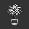 Dracaena chalk white icon on black background. Potted ornamental houseplant. Dragon tree. Green indoor plant with spiky
