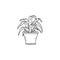 dracaena houseplant. Indoor potted plant vector black and white outline doodle illustration.