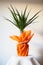 Dracaena, tropical plant as an interior item. A gift in orange wrapping paper on a table with a white napkin. White