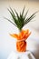 Dracaena, tropical plant as an interior item. A gift in orange wrapping paper on a table with a white napkin. White