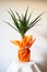 Dracaena, tropical plant as an interior item. A gift in orange wrapping paper on a table with a white napkin. White