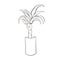 Dracena doodle illustration. Vector illustration. Linear vector dracena icon. Isolated outline picture of the houseplant