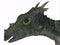 Dracorex Dinosaur Head