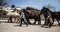 Draft Horses Return To Mackinac Island