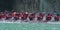 Dragon Boat paddling