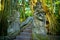 Dragon Bridge in Ubud Sacred Monkey Forest