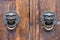 Dragon chinese door knocker on an old wooden gate