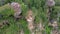 Dragon crest rock in the jungle of Krabi Thailand, couple men and woman looking out over jungle