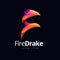 Dragon Fire Shape Logo Concept Design