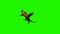 Dragon fly past 4 - green screen - green screen