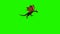 Dragon fly past - view from side - green screen - green screen