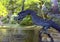 Dragon fountain at the Eikan-do Zenrin-ji Temple - Eikando - Kyoto - Japan