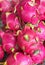 Dragon fruit