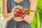 Dragon fruit in beautiful female hands on a green background