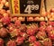 Dragon Fruit on Display in a Market