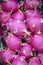 Dragon fruit is an exotic and delicious fruit.