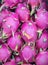 Dragon fruit is an exotic and delicious fruit.