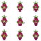 Dragon fruit expression bundle set