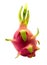 Dragon fruit isolated