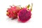 Dragon Fruit isolated on white background. (Pitaya Fruit)