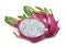 Dragon fruit or pitaya horizontal composition