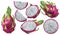 Dragon fruit or pitaya pieces set isolated on white