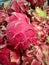 Dragon fruit or pitaya pieces set on a market