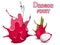 Dragon fruit silhouette template melted flowing consisting of dark tasty sweet liquid. Abstract background. Vector illustration