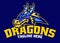 Dragon Head Blue Mascot Sport Logo