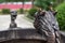 Dragon head decoration on a bronze incense burner