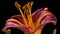 Dragon of Lily Flower: Award-Winning Macro Photography capturing Exquisite Details, Generative AI