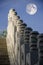 Dragon shaped white marble pillar and moonlit nights