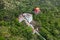 Dragon statue with temple and red shrine on hill in tropical rainforest at Wat Ban Tham