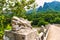 Dragon stone statue national park South Korea