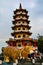 Dragon and Tiger Pagodas, Lotus pond, Taiwan