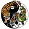 Dragon and tiger yin yang