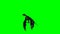 Dragon wywern is flying - green screen