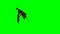 Dragon wywern is flying - green screen