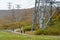 Dragondola Summit Station (Naeba-Tashiro Gondola) mountain trail to Tashiro Ropeway Mountain Top Station.