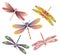 Dragonflies