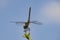 Dragonfly against blue sky