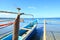 Dragonfly on bamboo boat, North Sulawesi.