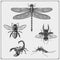 Dragonfly, bee, scorpion and beetle. Vector illustration. Print design for t-shirt. Tattoo design.