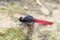 Dragonfly(Common Red Skimmer)